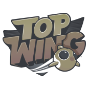 Arditex-marcas-brands-top-wings-2